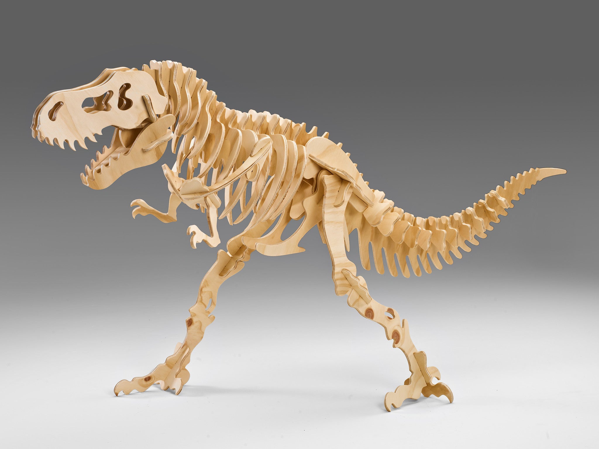 Attacking Tyrannosaurus Rex 3D Dinosaur Puzzle