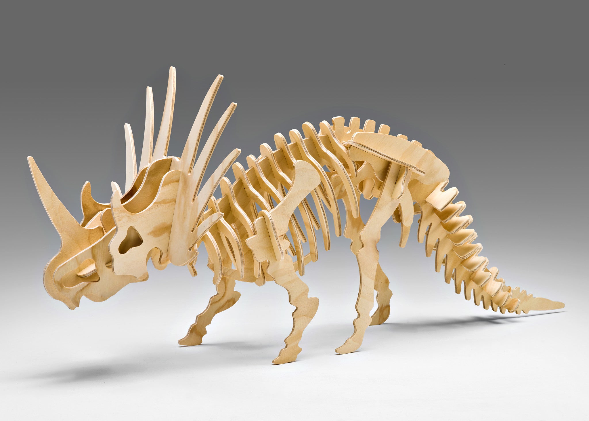 Styracosaurus 3D Dinosaur Puzzle