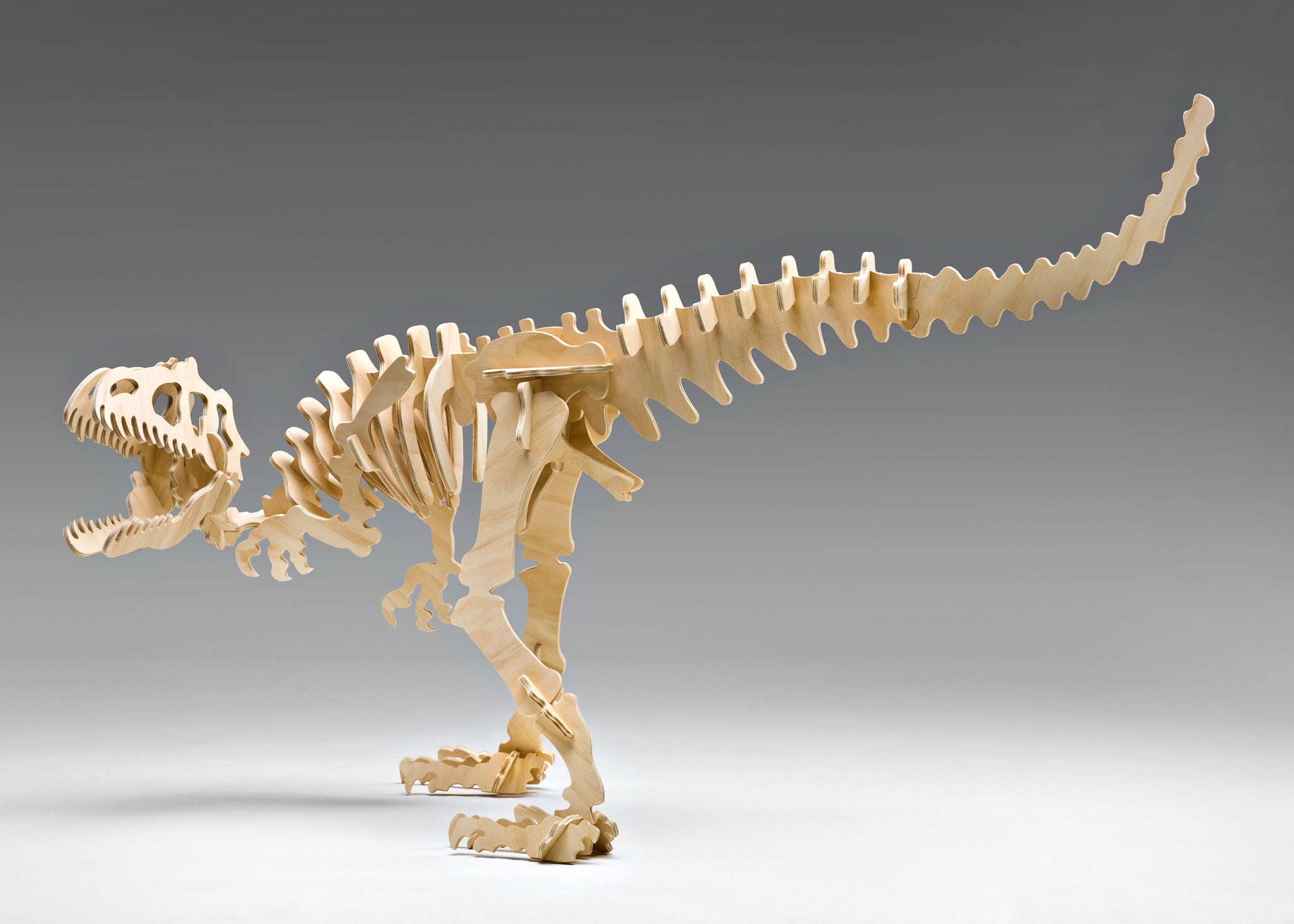 Allosaurus 3D Dinosaur Puzzle